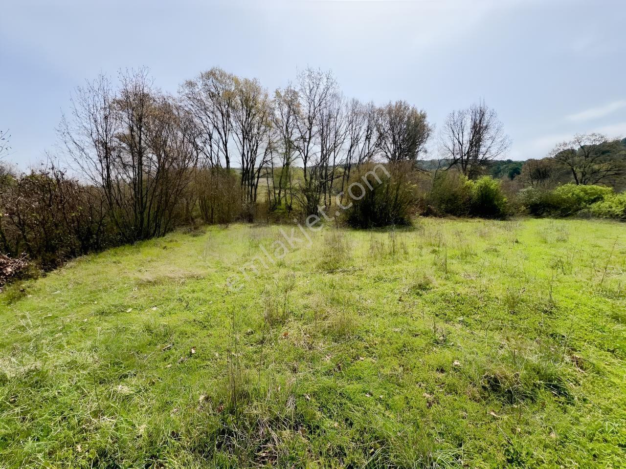 İvrindide Resmî Yola Cepheli, Çay Kenarında 1.800 M² Düz Arazi — fotoğraf 4