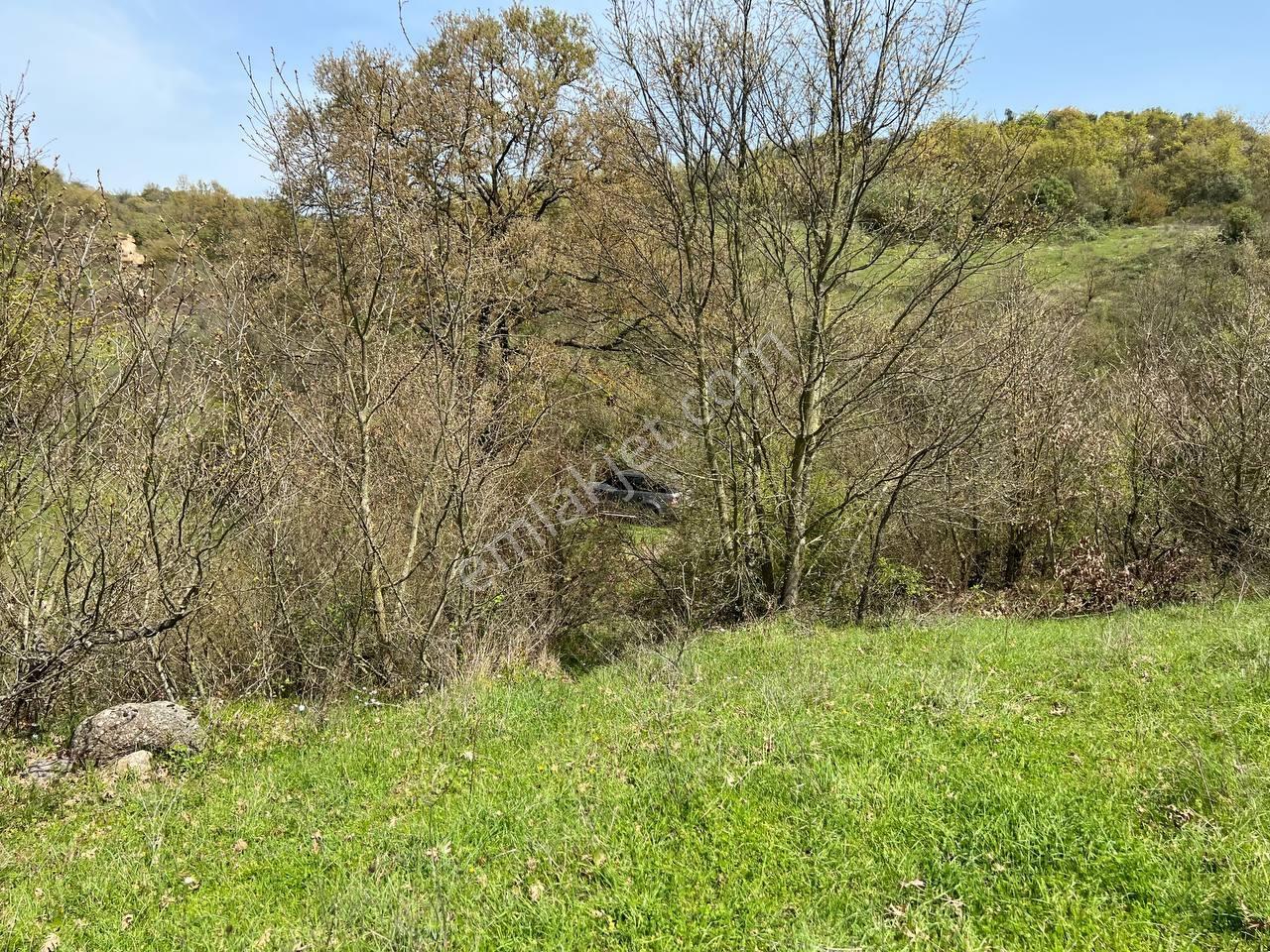İvrindide Resmî Yola Cepheli, Çay Kenarında 1.800 M² Düz Arazi — fotoğraf 5
