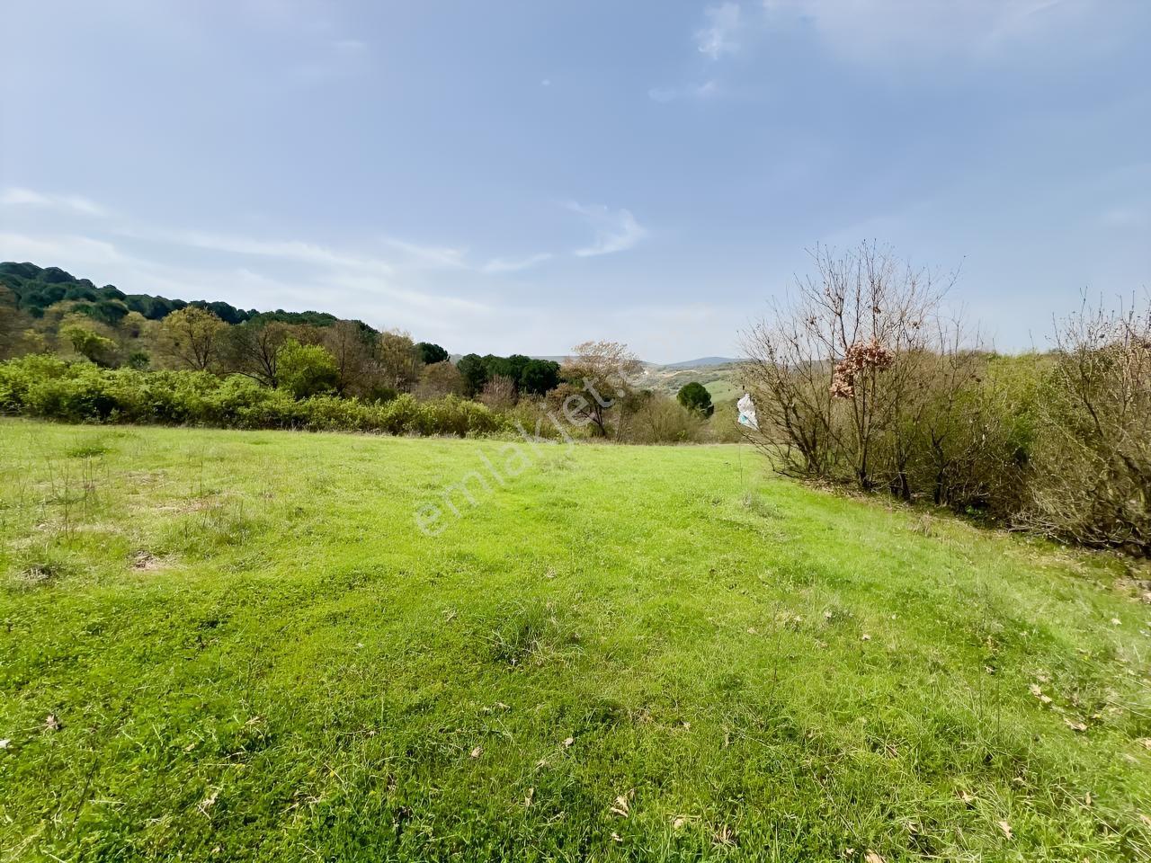 İvrindide Resmî Yola Cepheli, Çay Kenarında 1.800 M² Düz Arazi — fotoğraf 6