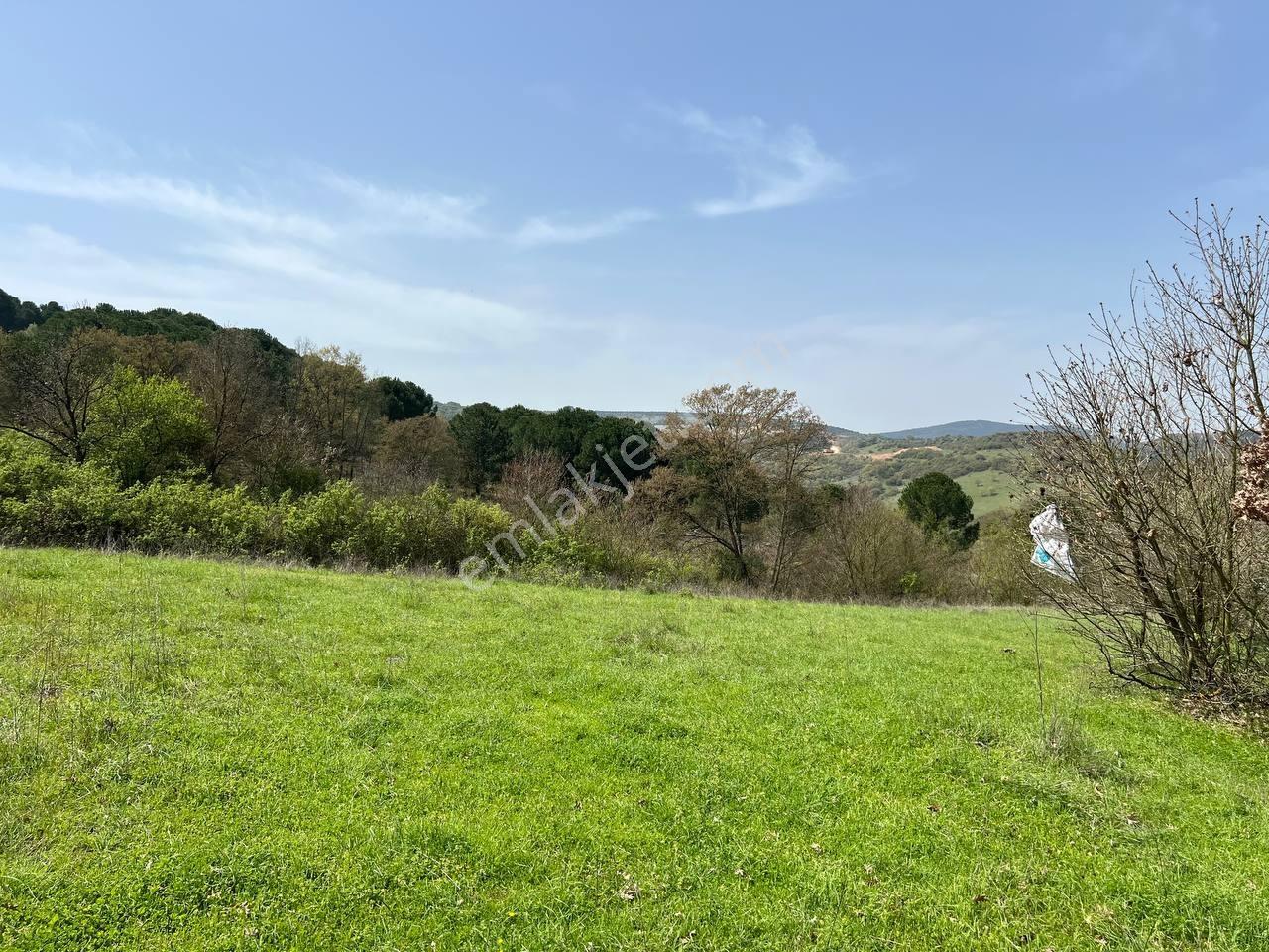 İvrindide Resmî Yola Cepheli, Çay Kenarında 1.800 M² Düz Arazi — fotoğraf 7