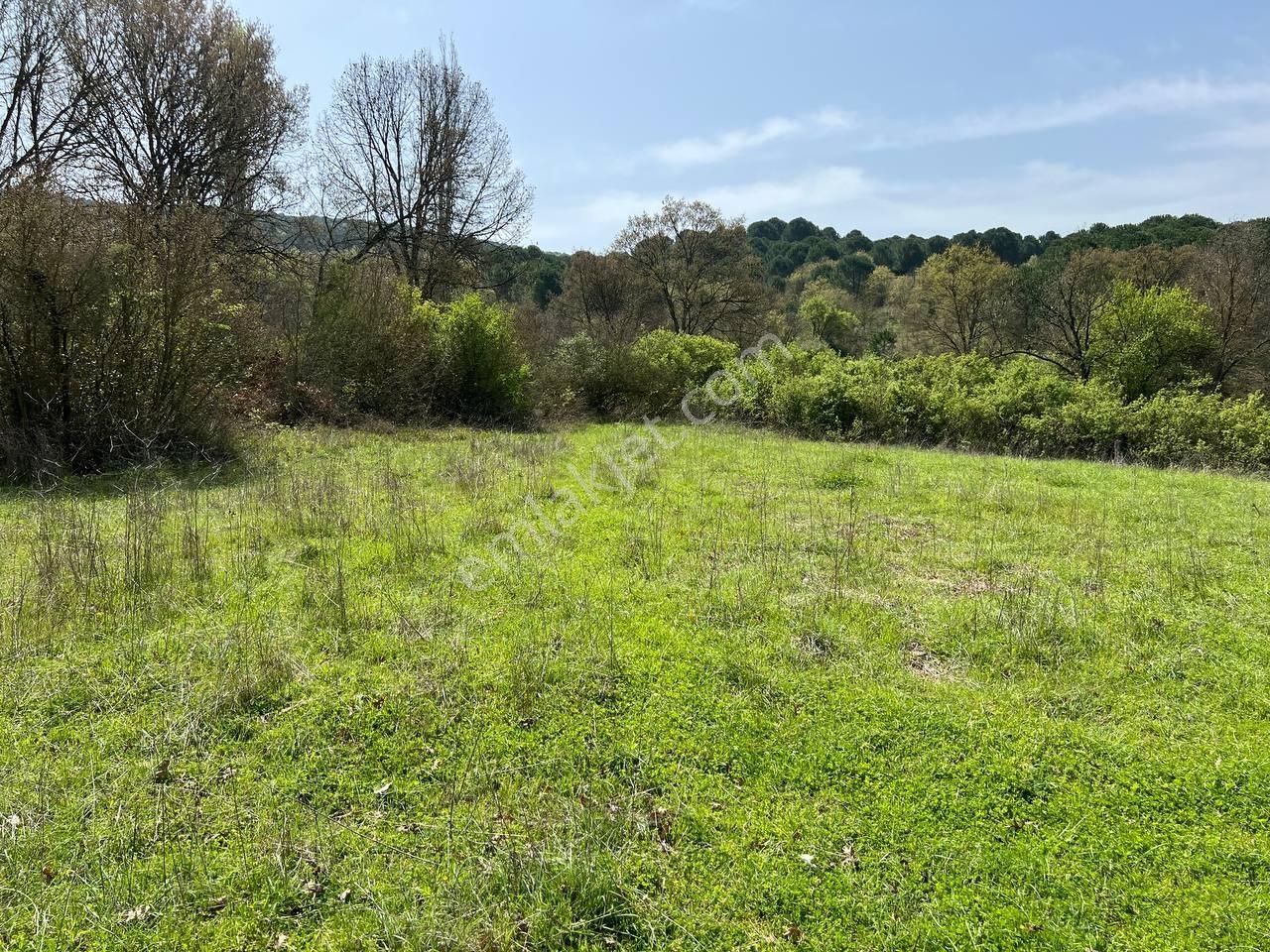İvrindide Resmî Yola Cepheli, Çay Kenarında 1.800 M² Düz Arazi — fotoğraf 8