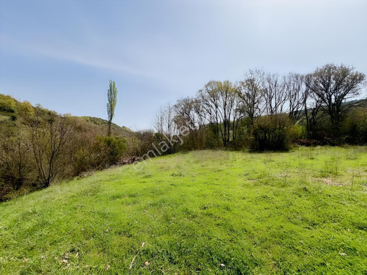 İvrindide Resmî Yola Cepheli, Çay Kenarında 1.800 M² Düz Arazi — fotoğraf 9