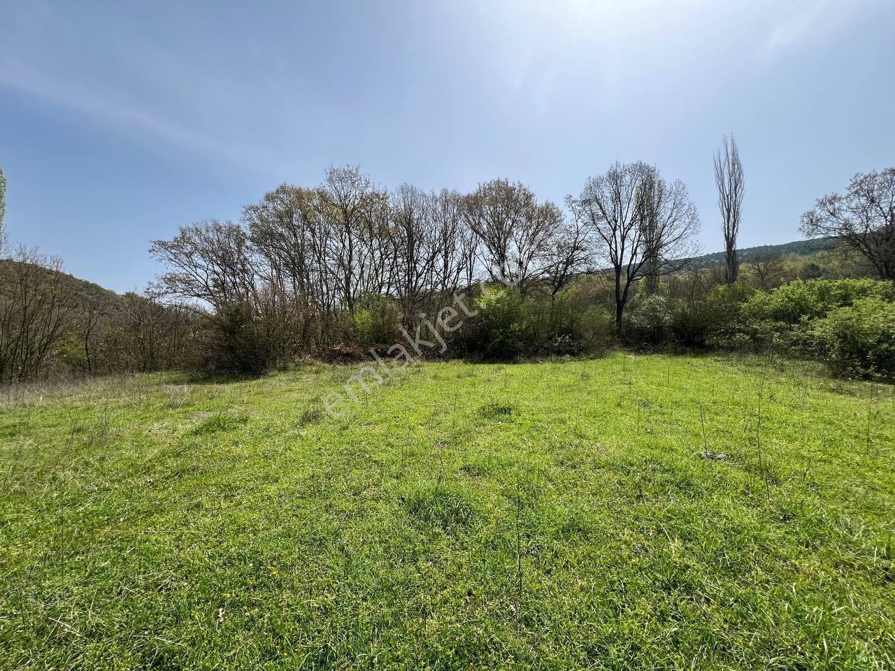 İvrindide Resmî Yola Cepheli, Çay Kenarında 1.800 M² Düz Arazi — fotoğraf 10