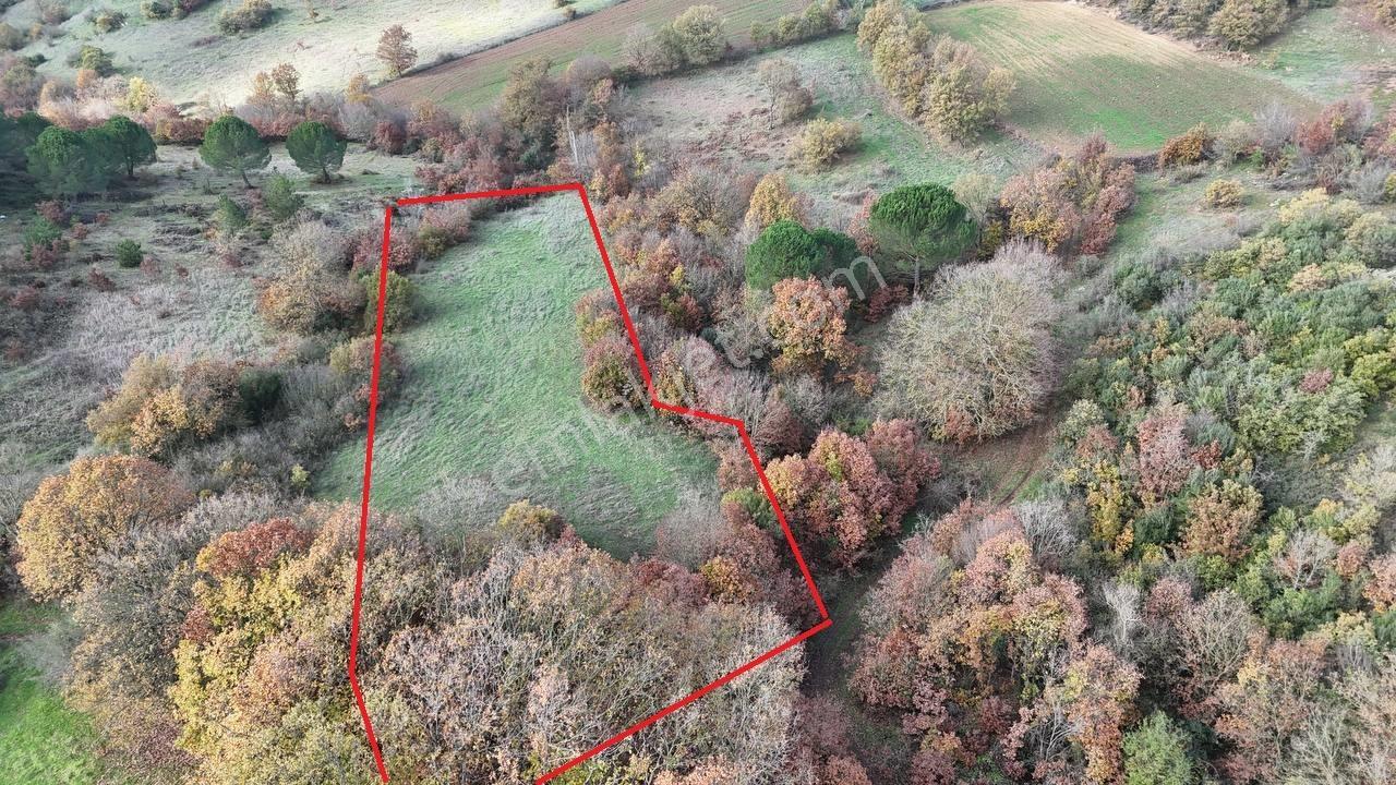 İvrindide Resmî Yola Cepheli, Çay Kenarında 1.800 M² Düz Arazi — fotoğraf 13