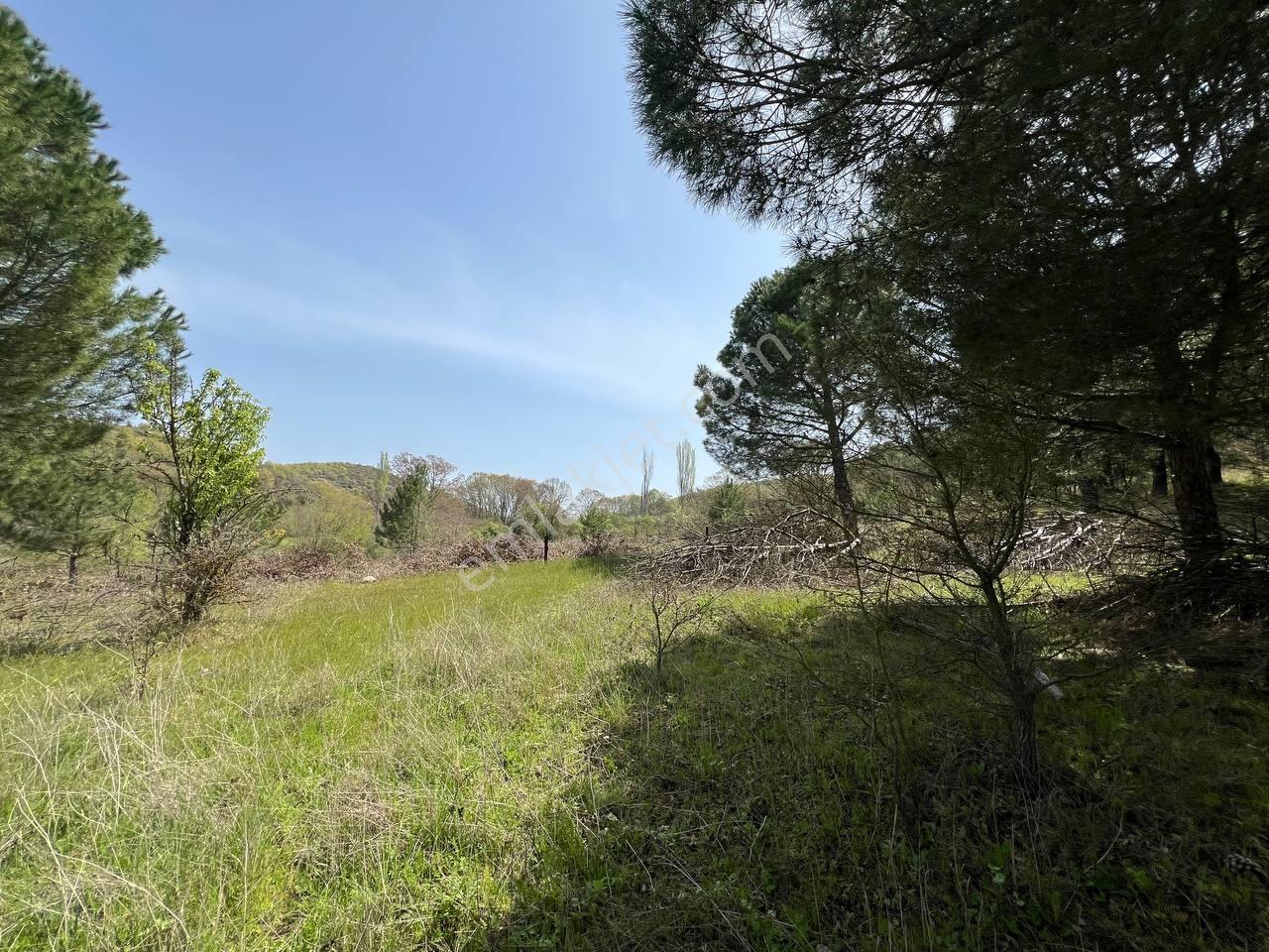 İvrindide Resmî Yola Cepheli, Çay Kenarında 1.800 M² Düz Arazi — fotoğraf 17