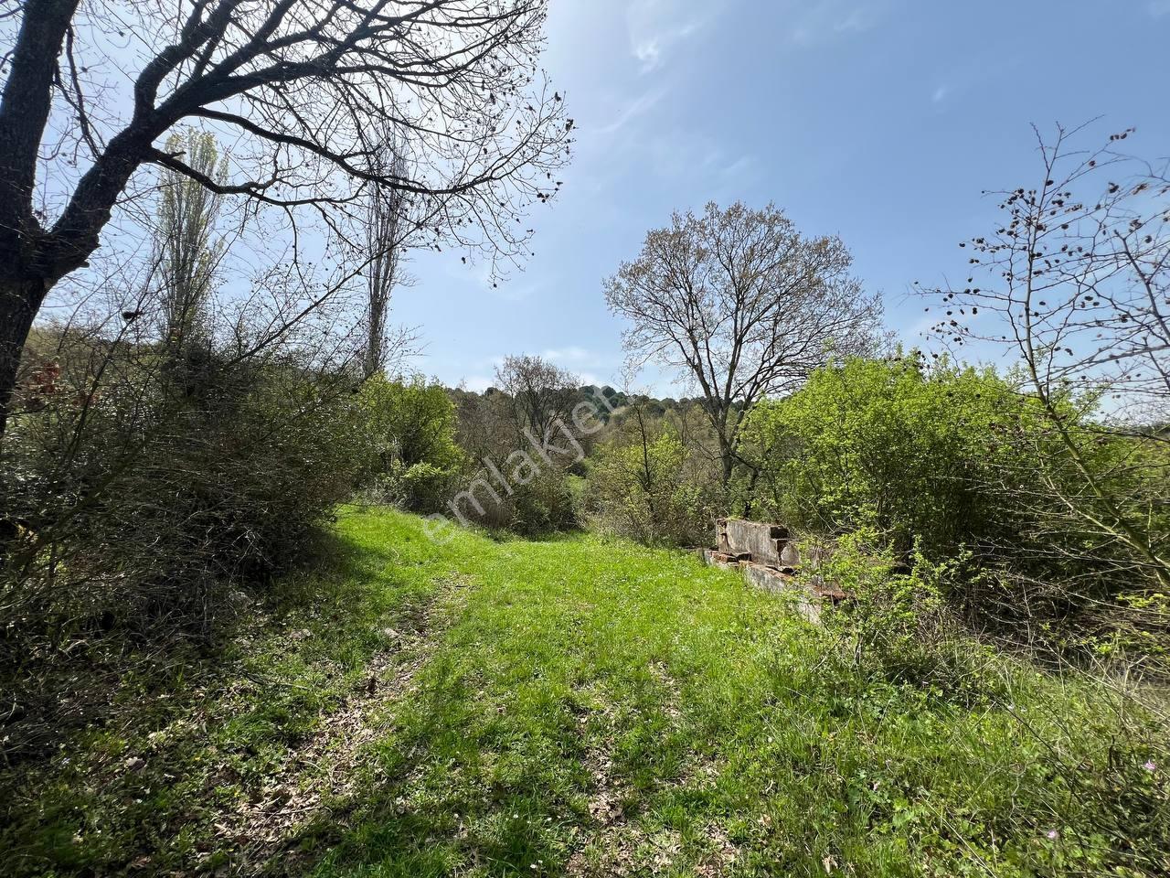 İvrindide Resmî Yola Cepheli, Çay Kenarında 1.800 M² Düz Arazi — fotoğraf 18