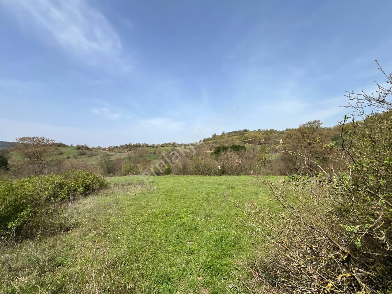 İvrindide Resmî Yola Cepheli, Çay Kenarında 1.800 M² Düz Arazi — fotoğraf 19