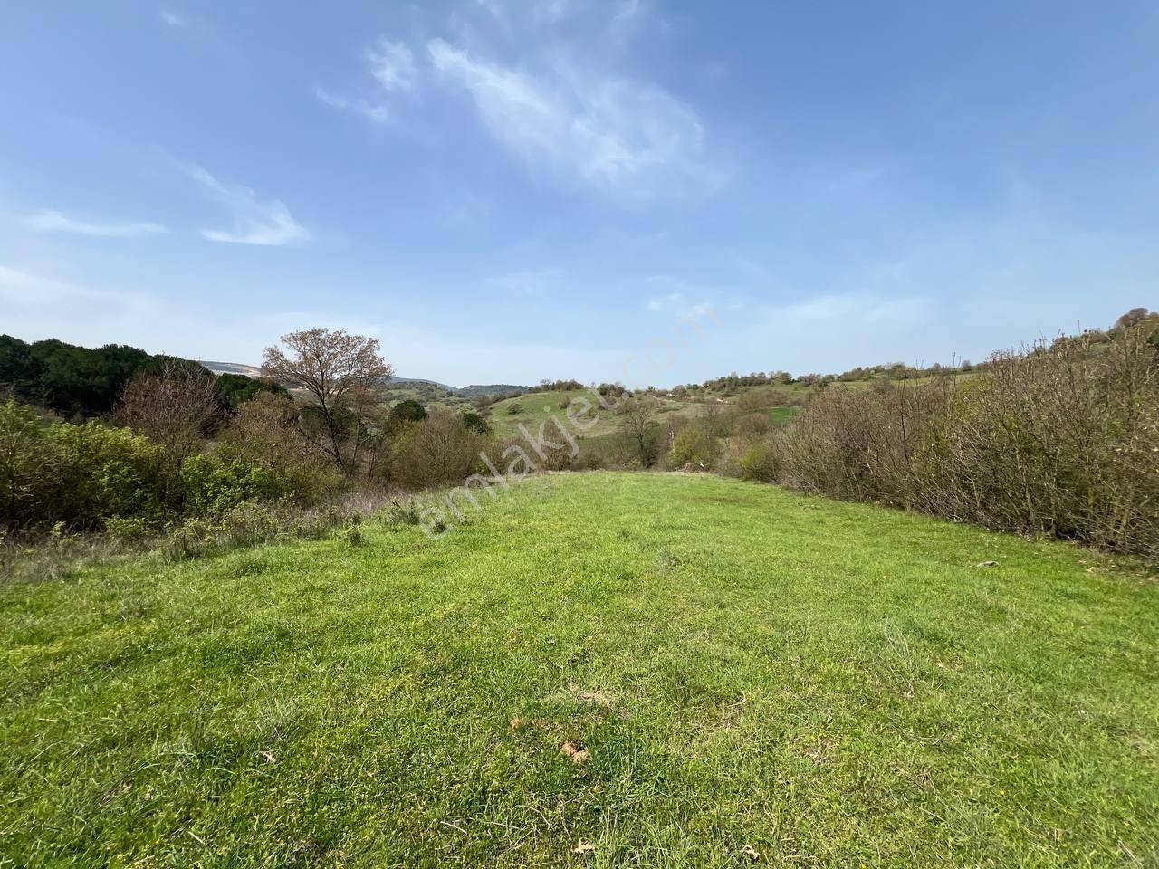 İvrindide Resmî Yola Cepheli, Çay Kenarında 1.800 M² Düz Arazi — fotoğraf 20
