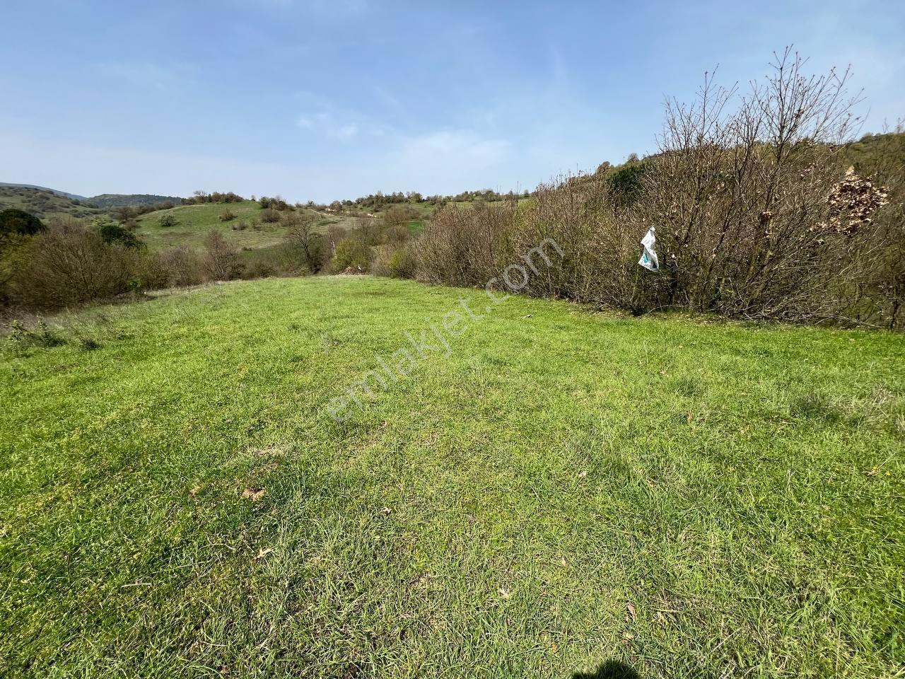 İvrindide Resmî Yola Cepheli, Çay Kenarında 1.800 M² Düz Arazi — fotoğraf 21