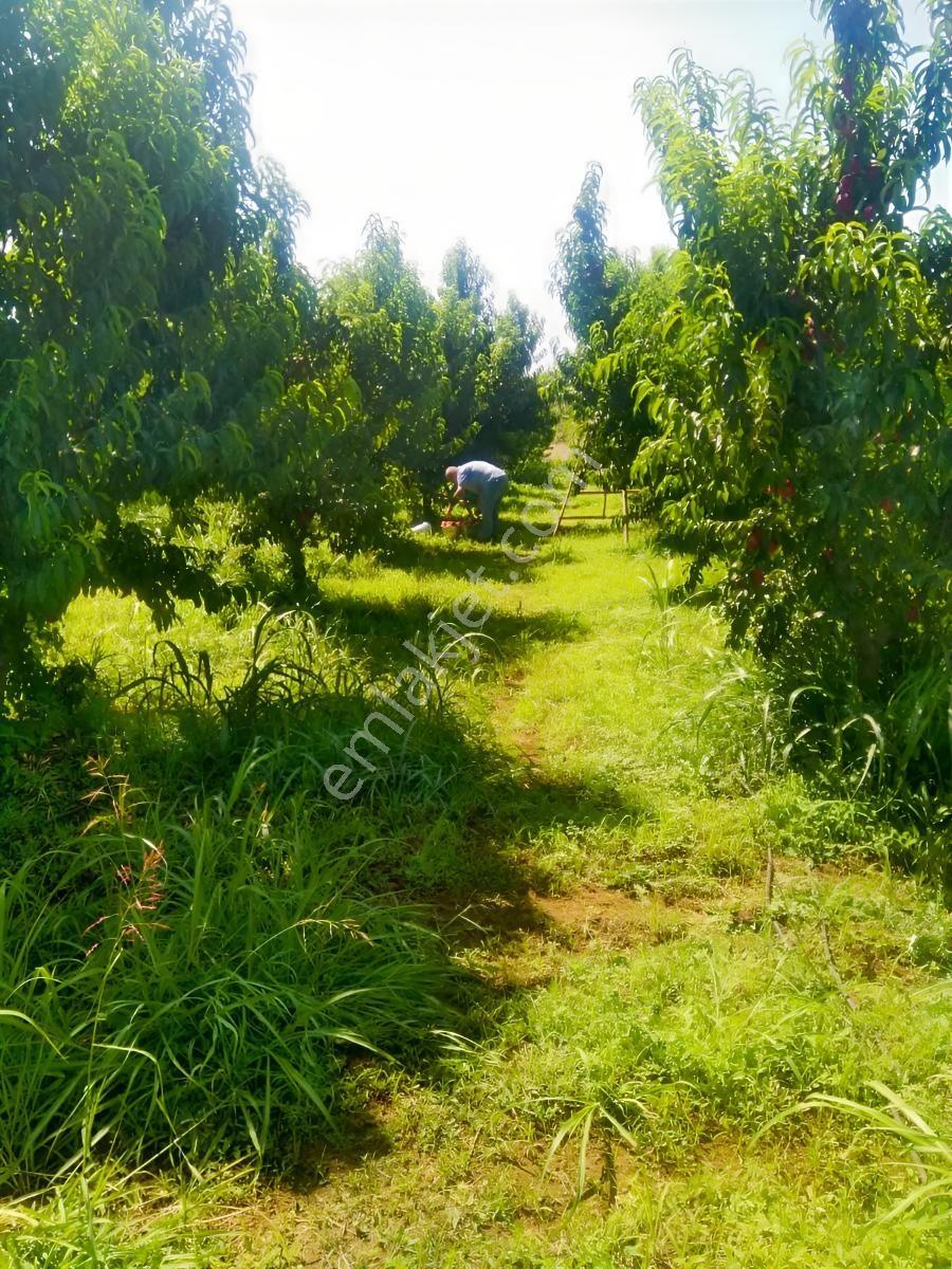 Yatırımlık Arsa — fotoğraf 2