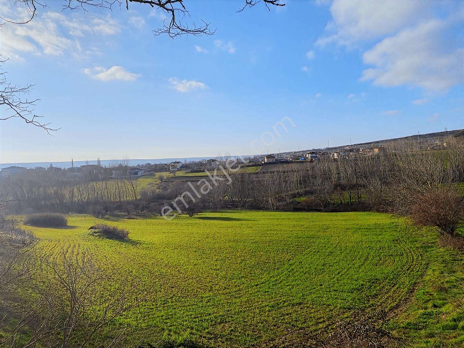*vize Mehmet Akif Mah. Tek Tapu 11.640 M2 İmar Sınırında Tarla — fotoğraf 2