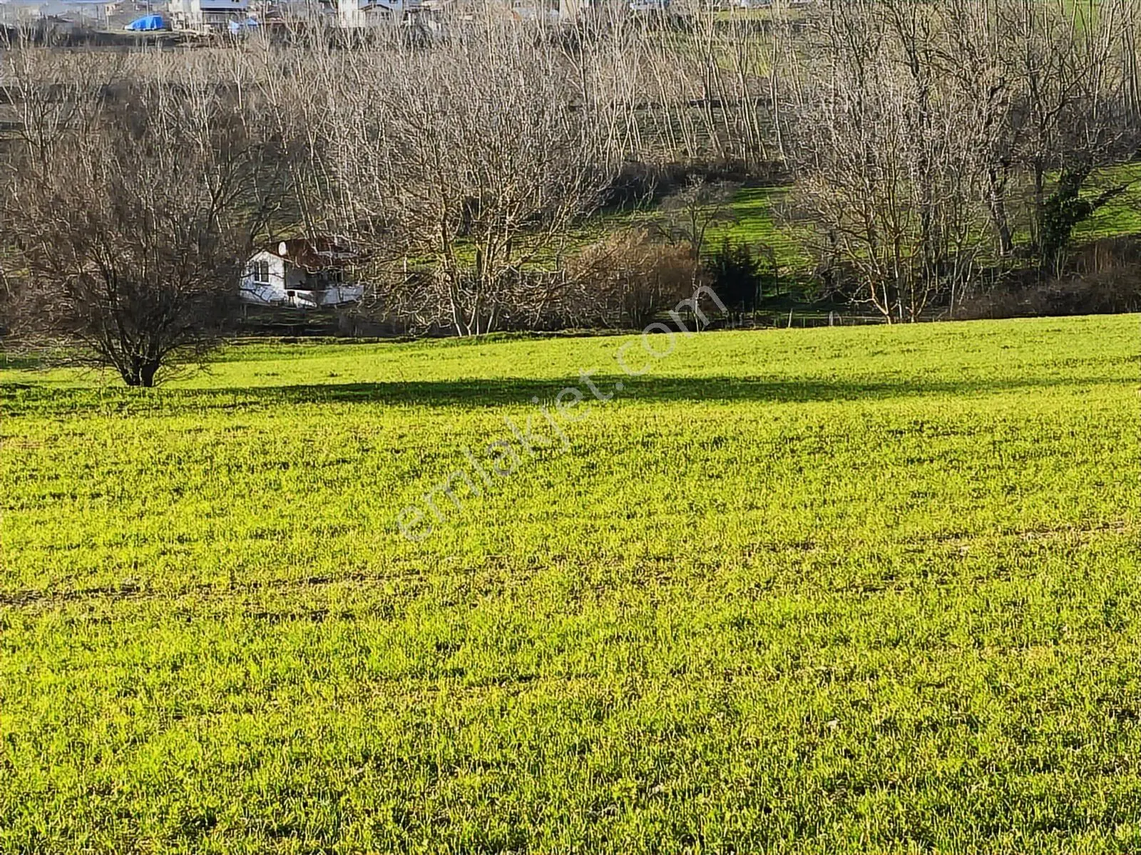 *vize Mehmet Akif Mah. Tek Tapu 11.640 M2 İmar Sınırında Tarla — fotoğraf 4