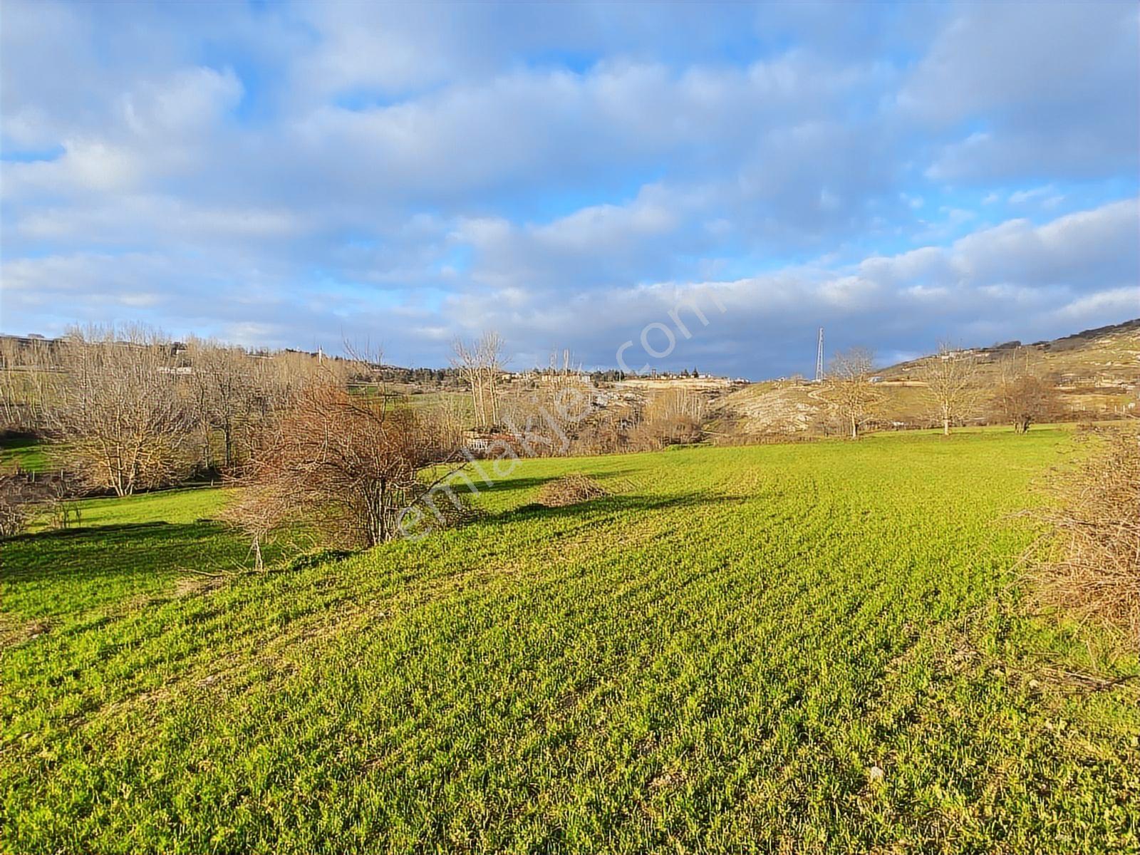 *vize Mehmet Akif Mah. Tek Tapu 11.640 M2 İmar Sınırında Tarla — fotoğraf 6
