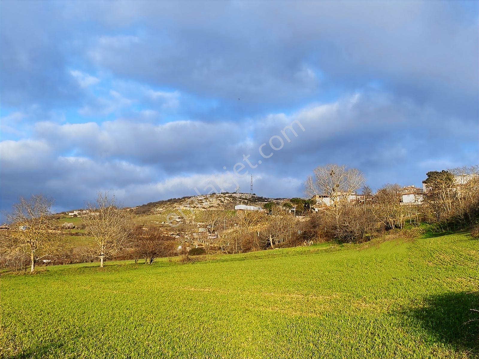 *vize Mehmet Akif Mah. Tek Tapu 11.640 M2 İmar Sınırında Tarla — fotoğraf 8
