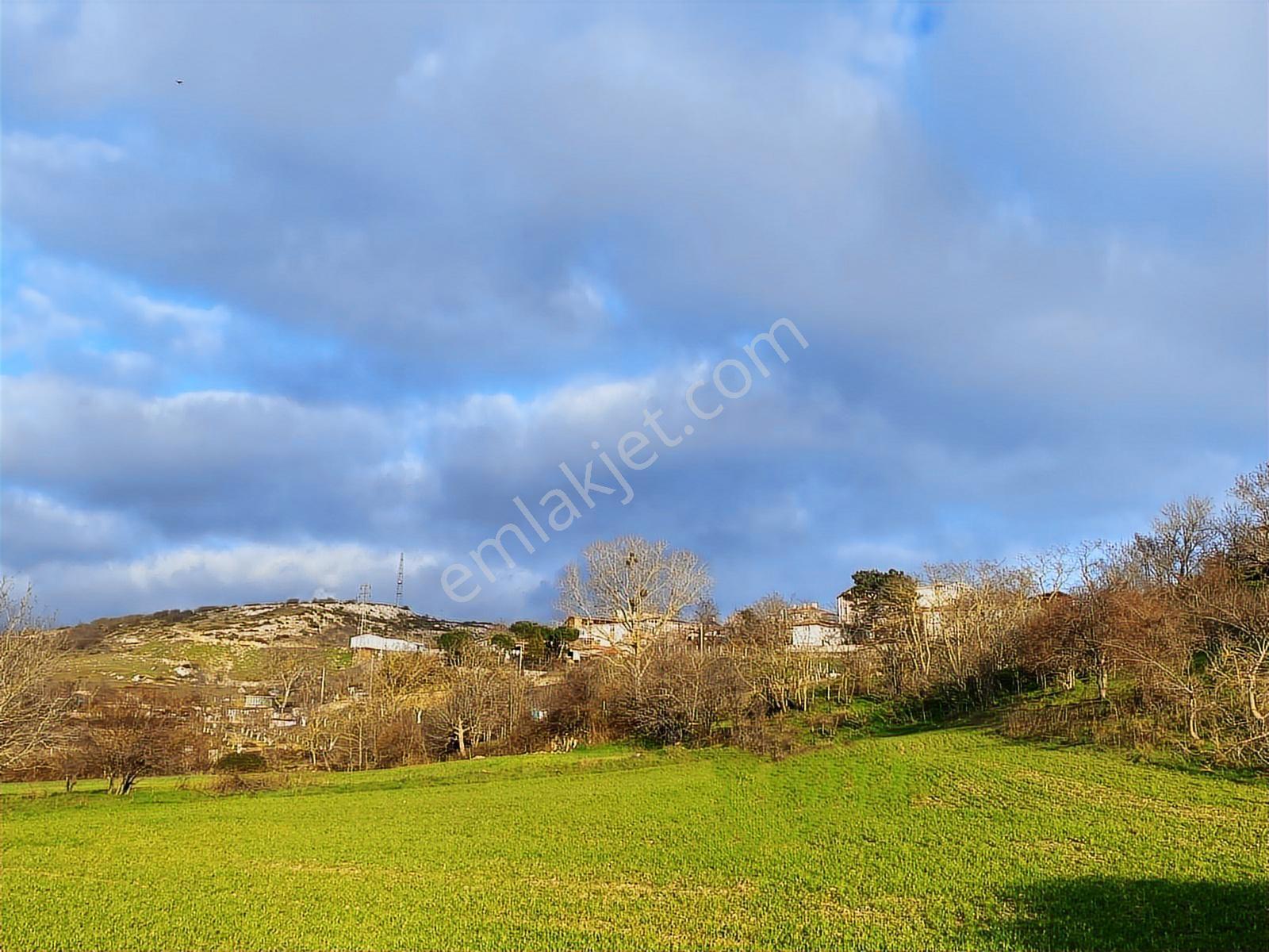 *vize Mehmet Akif Mah. Tek Tapu 11.640 M2 İmar Sınırında Tarla — fotoğraf 9