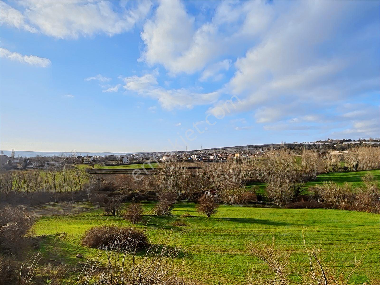 *vize Mehmet Akif Mah. Tek Tapu 11.640 M2 İmar Sınırında Tarla — fotoğraf 12
