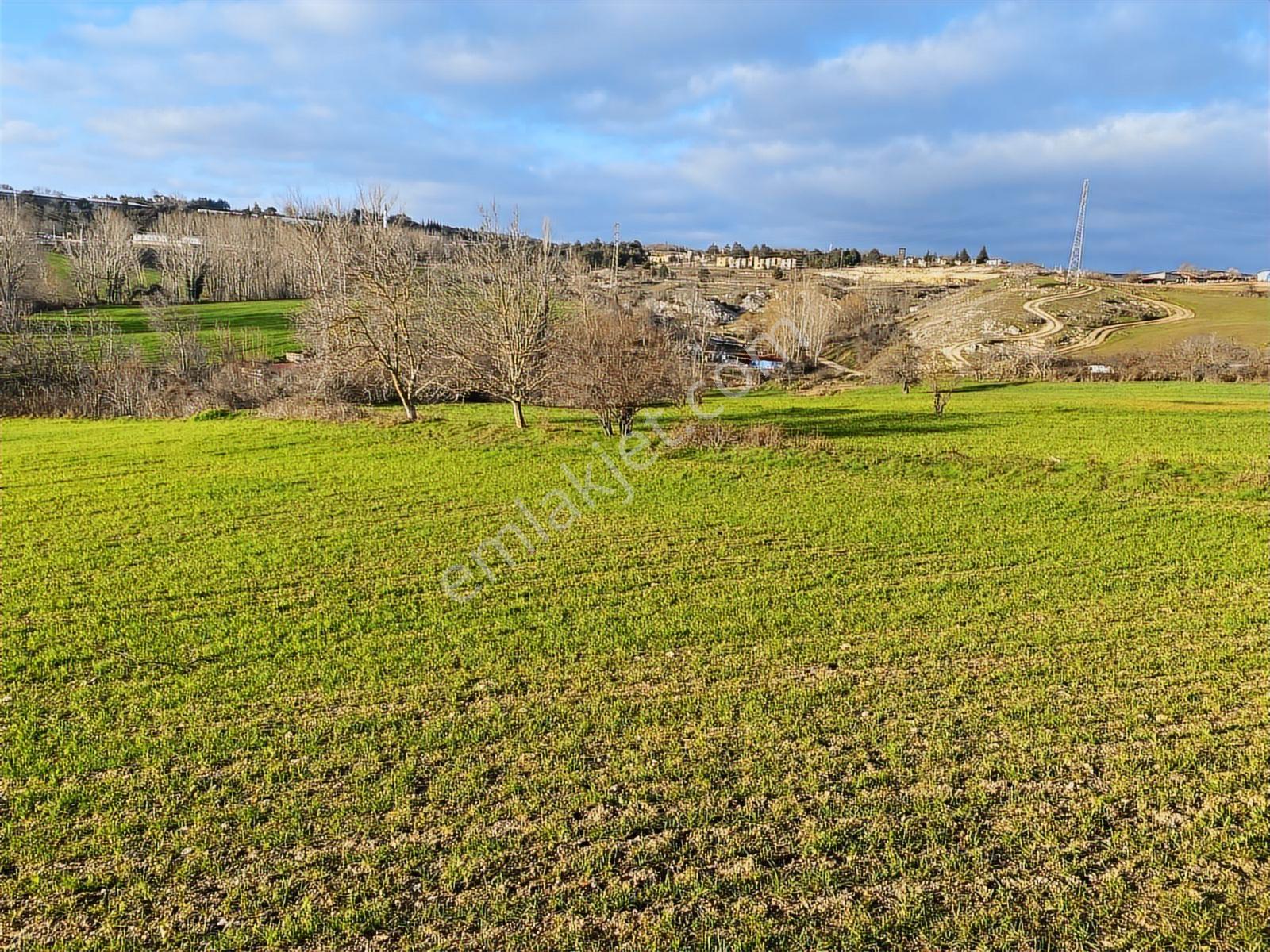 *vize Mehmet Akif Mah. Tek Tapu 11.640 M2 İmar Sınırında Tarla — fotoğraf 14