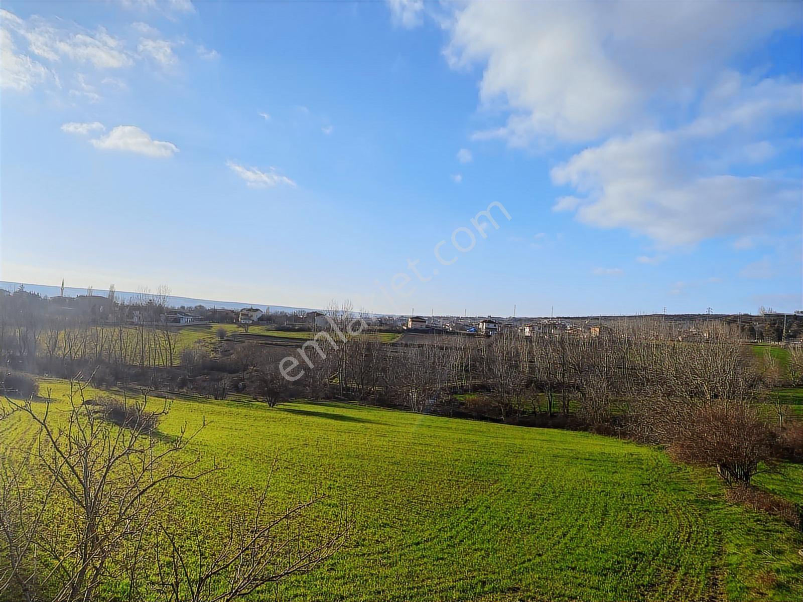 *vize Mehmet Akif Mah. Tek Tapu 11.640 M2 İmar Sınırında Tarla — fotoğraf 15