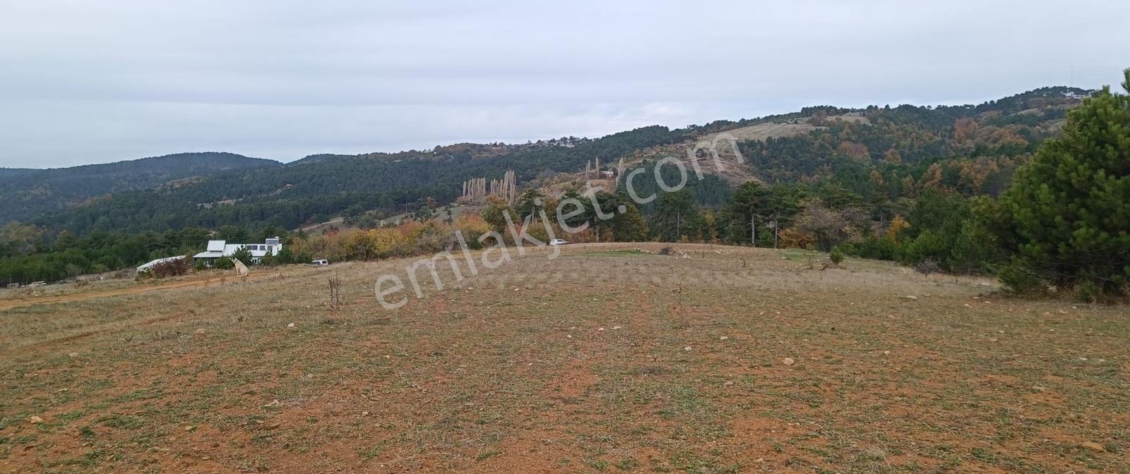 Bursa Osmangazi Kirazlıda Satılık Yatırımlık Arazi