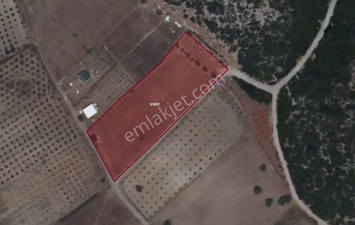Menderes Turyap'tan Gölova'da 5572 M² Satılık Tek Tapu Tarla — fotoğraf 2