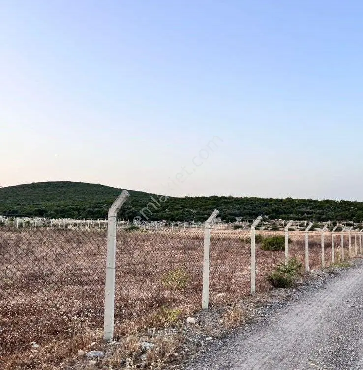 Menderes Turyap'tan Gölova'da 5572 M² Satılık Tek Tapu Tarla — fotoğraf 4