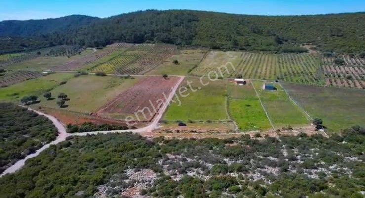 Menderes Turyap'tan Gölova'da 5572 M² Satılık Tek Tapu Tarla — fotoğraf 6
