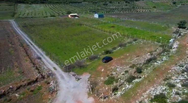 Menderes Turyap'tan Gölova'da 5572 M² Satılık Tek Tapu Tarla — fotoğraf 7