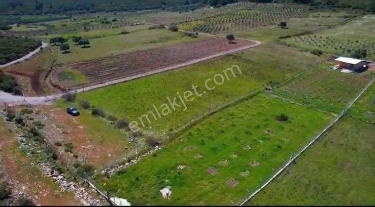 Menderes Turyap'tan Gölova'da 5572 M² Satılık Tek Tapu Tarla — fotoğraf 8