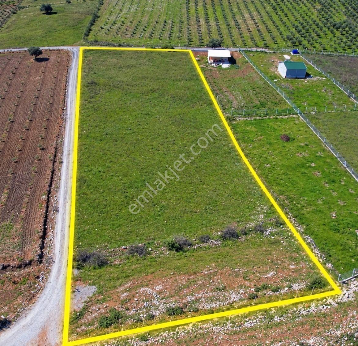 Menderes Turyap'tan Gölova'da 5572 M² Satılık Tek Tapu Tarla — fotoğraf 12