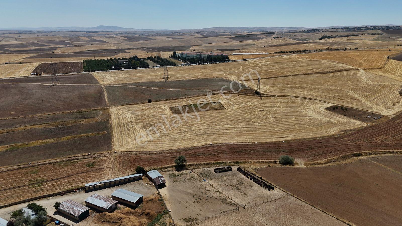 Ballıkpınar'da Satılık Villa Arsası - 2136 M² — fotoğraf 2