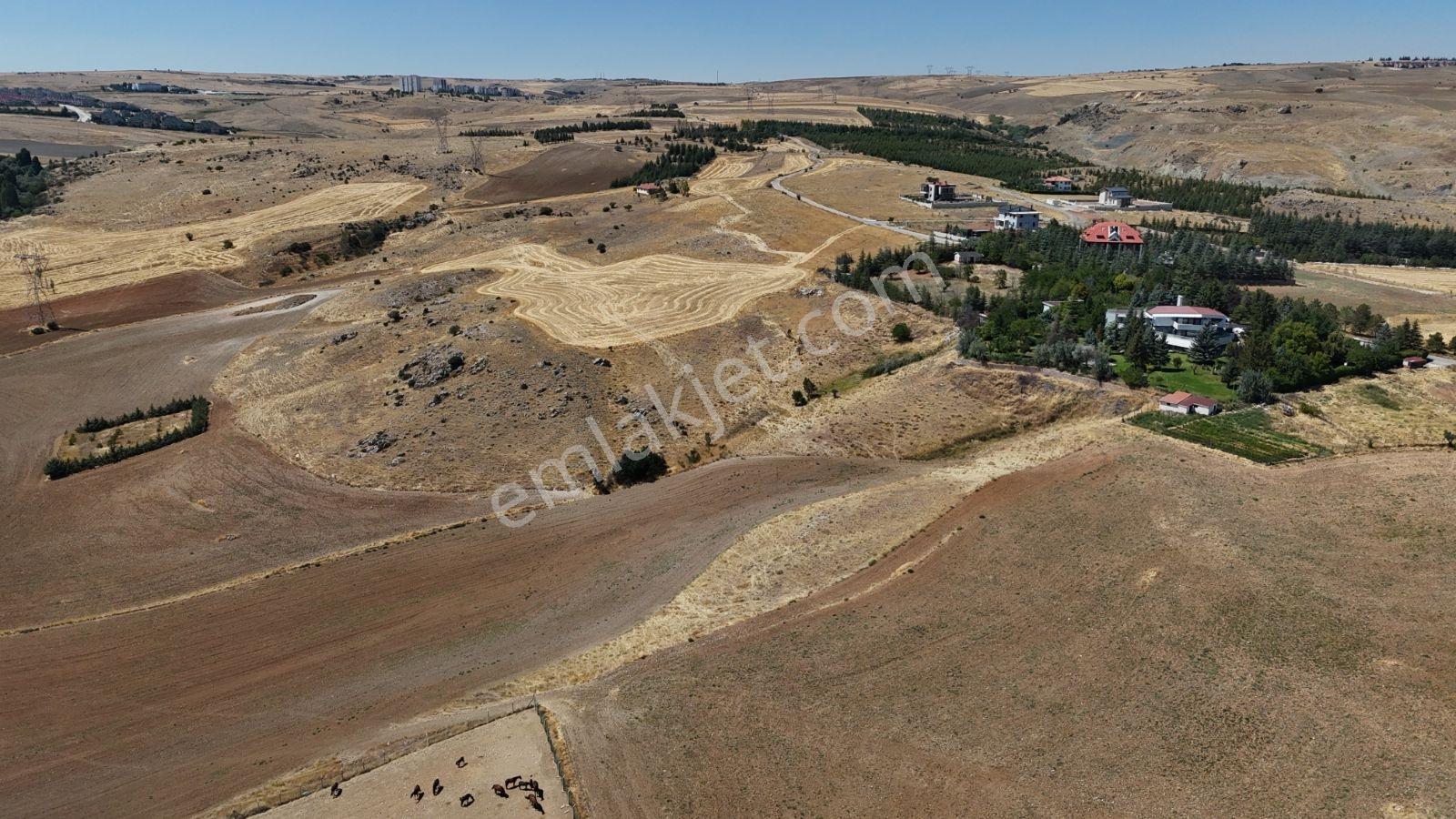 Ballıkpınar'da Satılık Villa Arsası - 2136 M² — fotoğraf 4