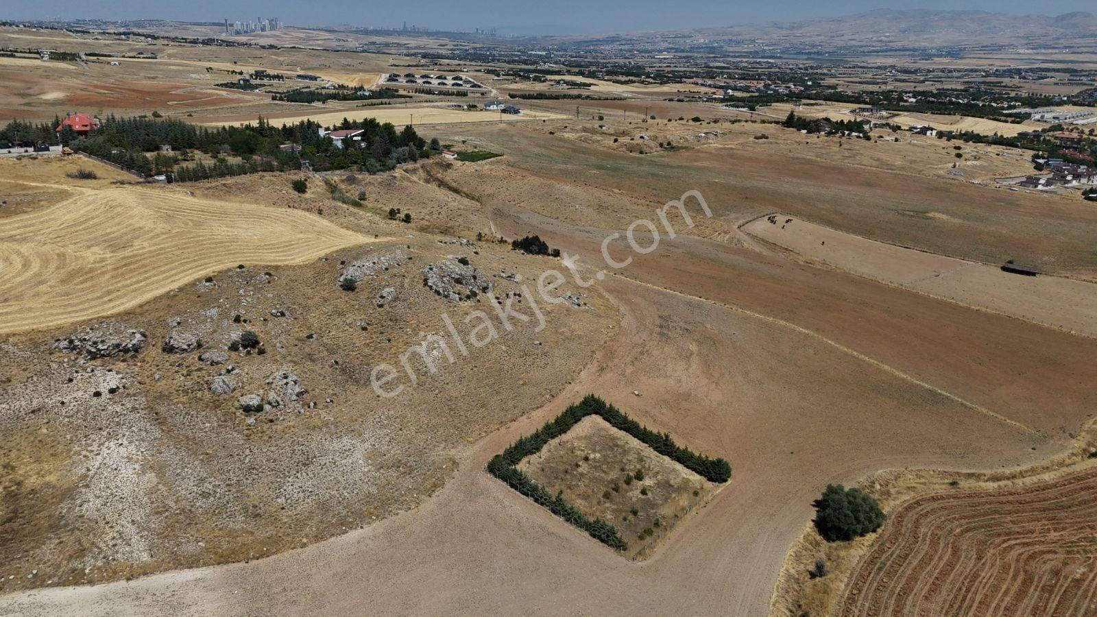 Ballıkpınar'da Satılık Villa Arsası - 2136 M² — fotoğraf 8