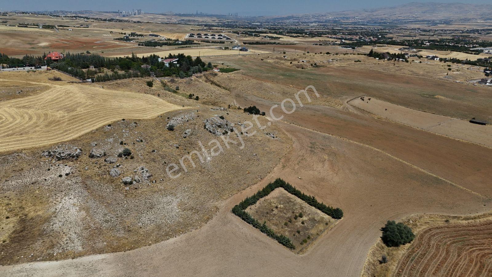 Ballıkpınar'da Satılık Villa Arsası - 2136 M² — fotoğraf 9