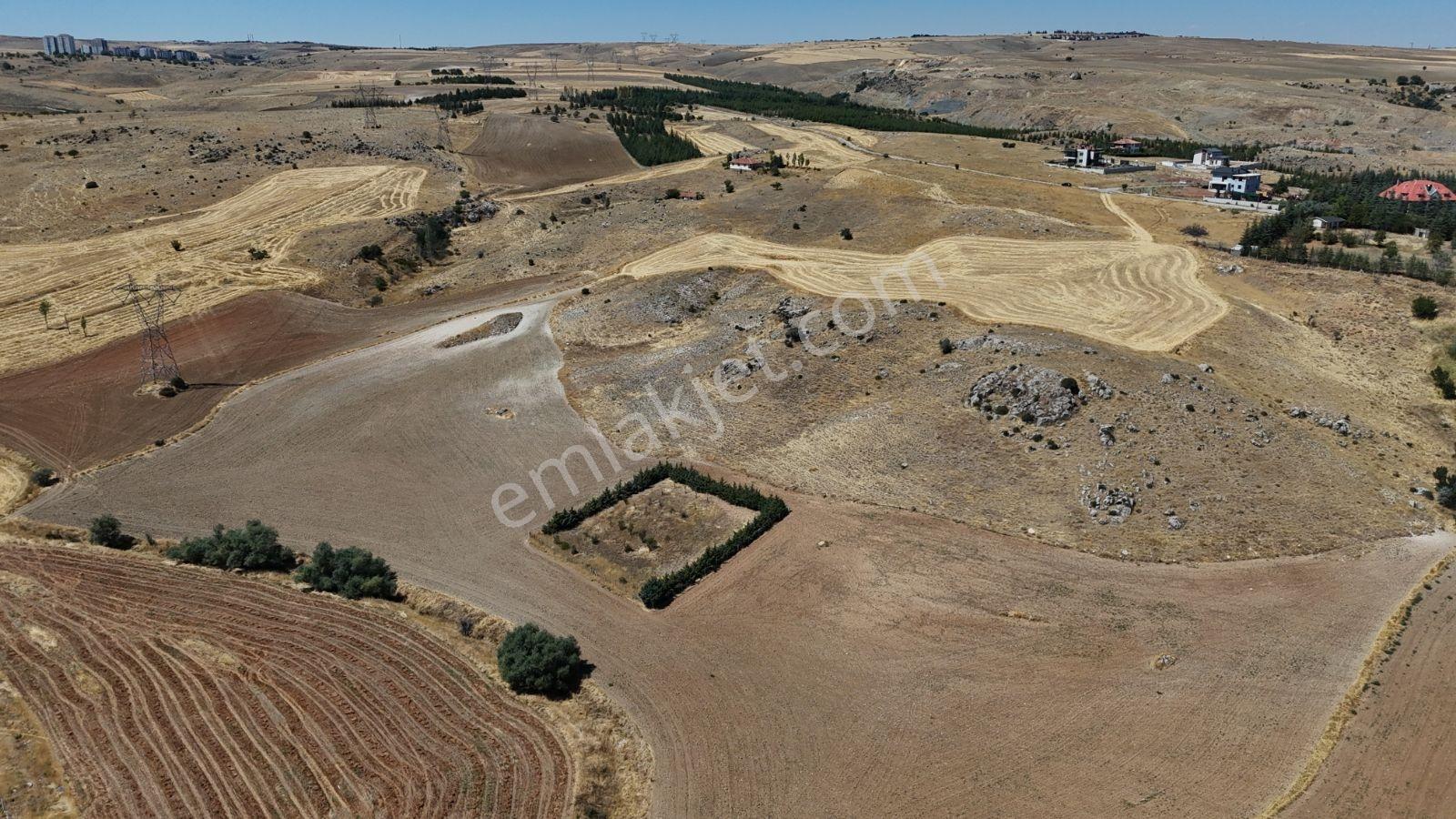 Ballıkpınar'da Satılık Villa Arsası - 2136 M² — fotoğraf 11