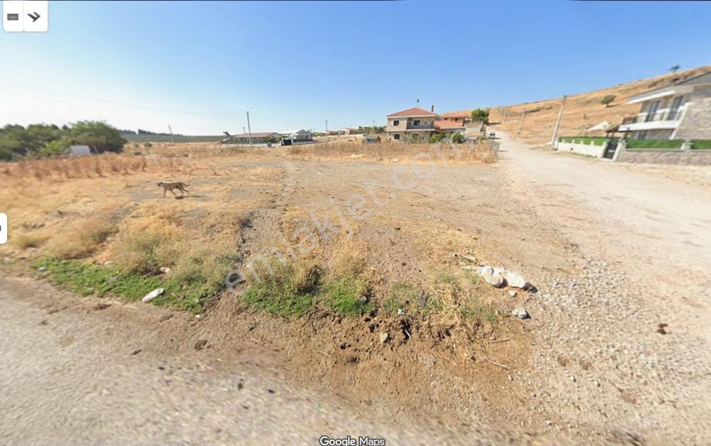 Foça Bağarasında Köşe Konumlu Villa İmarlı Arsa — fotoğraf 5