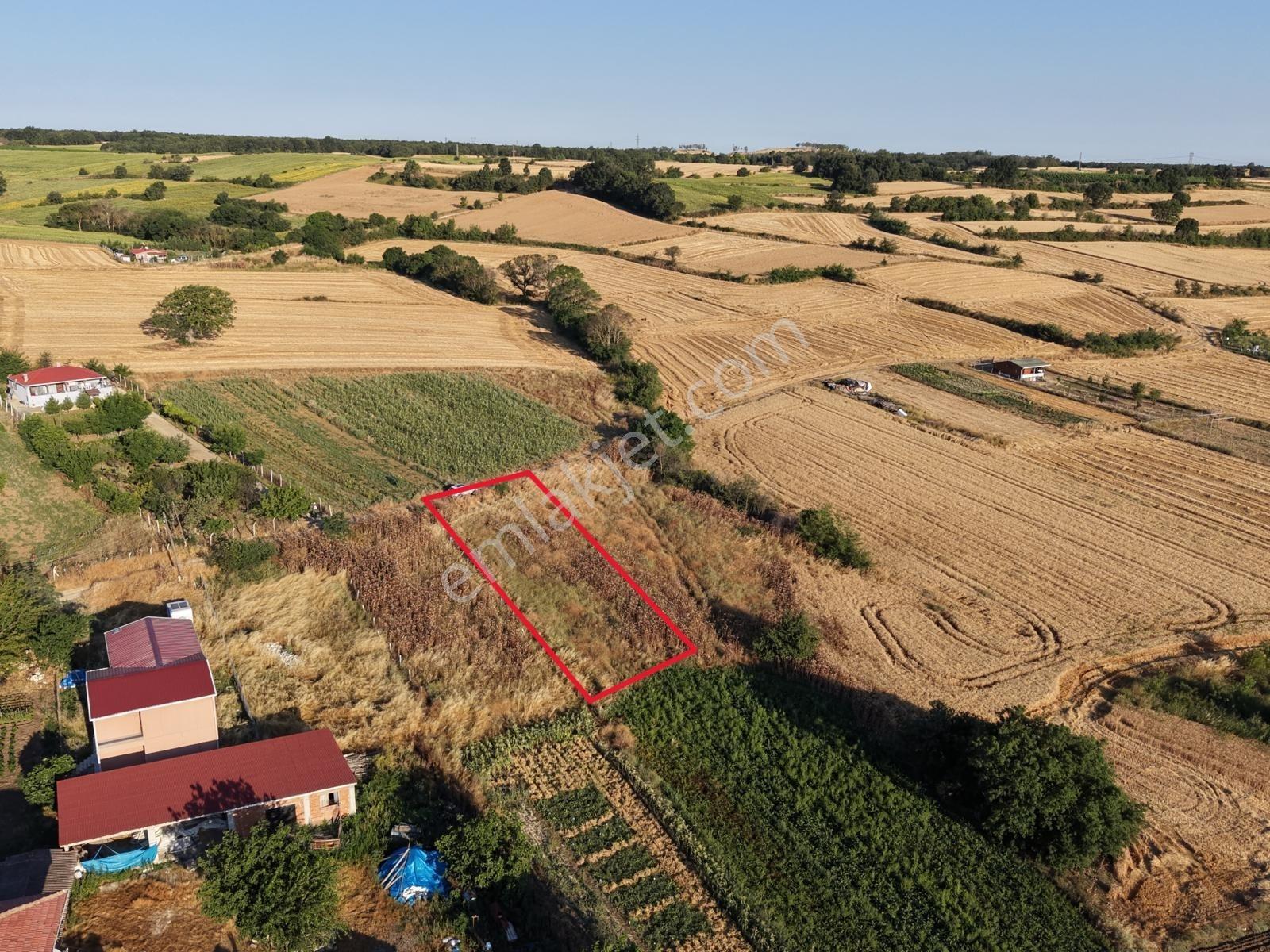 Pınarhisar Poyralı'da 911 M2 Müstakil Tek Tapu Satılık Arsa — fotoğraf 6