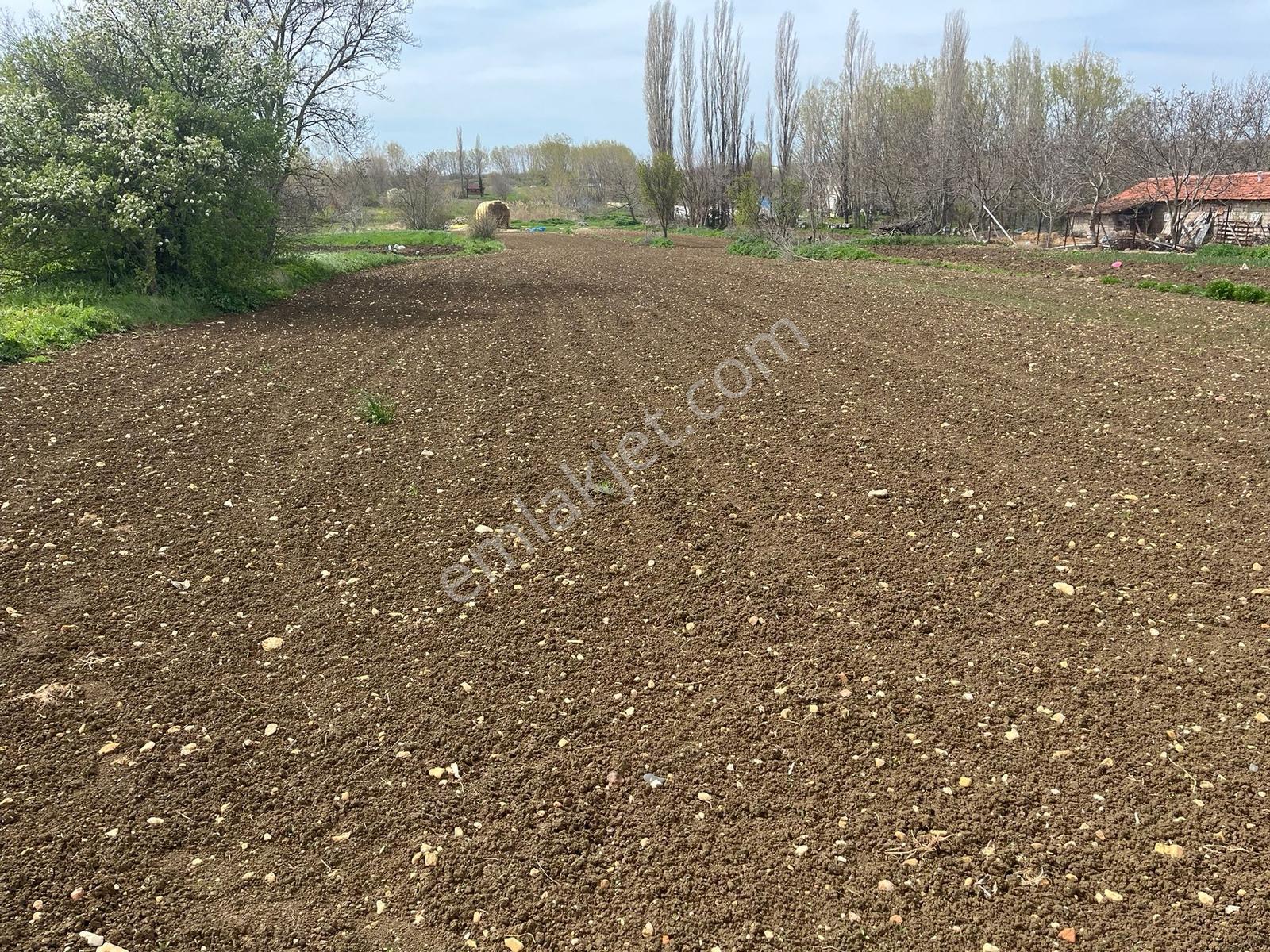 Pınarhisar Poyralı'da 911 M2 Müstakil Tek Tapu Satılık Arsa — fotoğraf 27