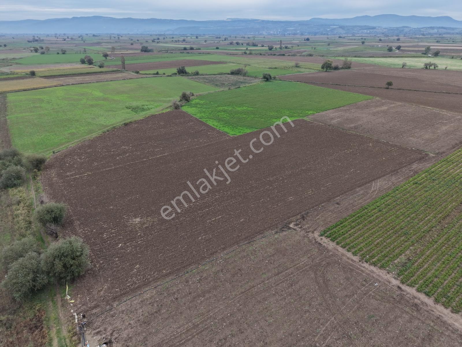 K2 Pera Bursa Mustafakemalpaşa Yeşilova 11.200 M2 Tek Tapu Tarla