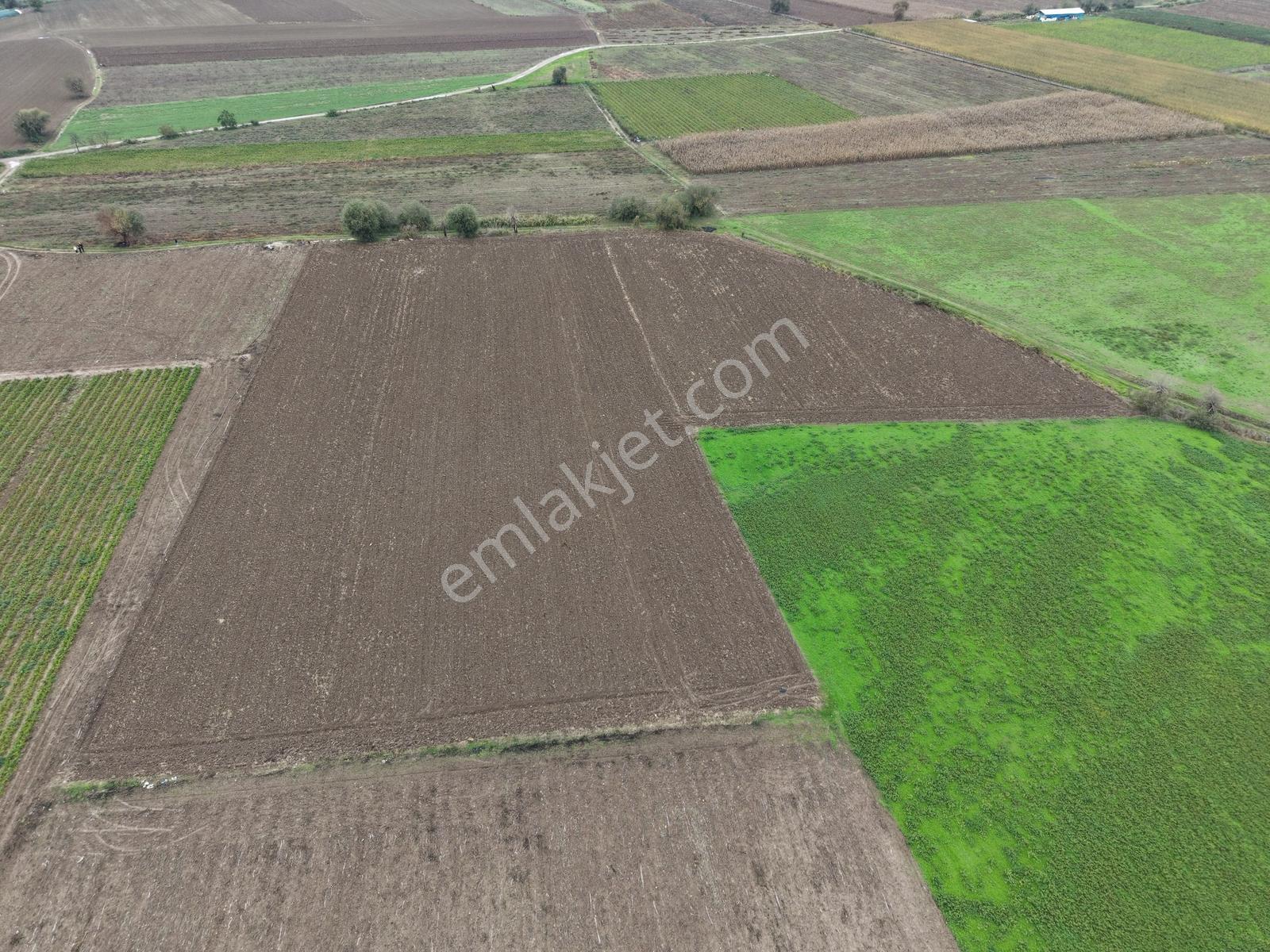 K2 Pera Bursa Mustafakemalpaşa Yeşilova 11.200 M2 Tek Tapu Tarla — fotoğraf 2