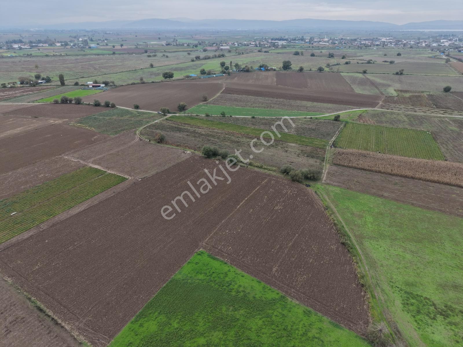 K2 Pera Bursa Mustafakemalpaşa Yeşilova 11.200 M2 Tek Tapu Tarla — fotoğraf 3
