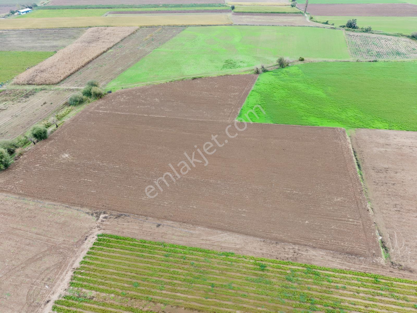 K2 Pera Bursa Mustafakemalpaşa Yeşilova 11.200 M2 Tek Tapu Tarla — fotoğraf 4