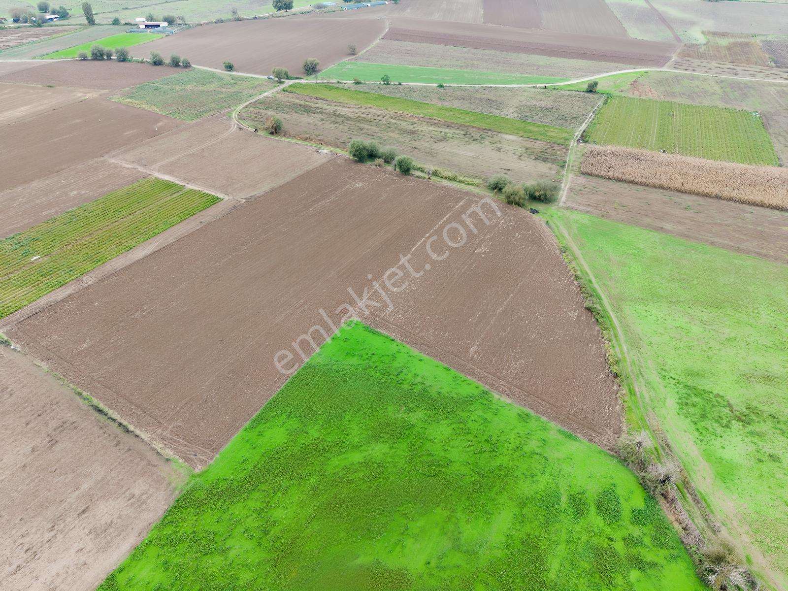 K2 Pera Bursa Mustafakemalpaşa Yeşilova 11.200 M2 Tek Tapu Tarla — fotoğraf 5