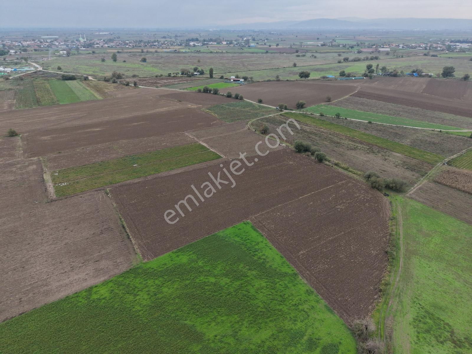 K2 Pera Bursa Mustafakemalpaşa Yeşilova 11.200 M2 Tek Tapu Tarla — fotoğraf 6