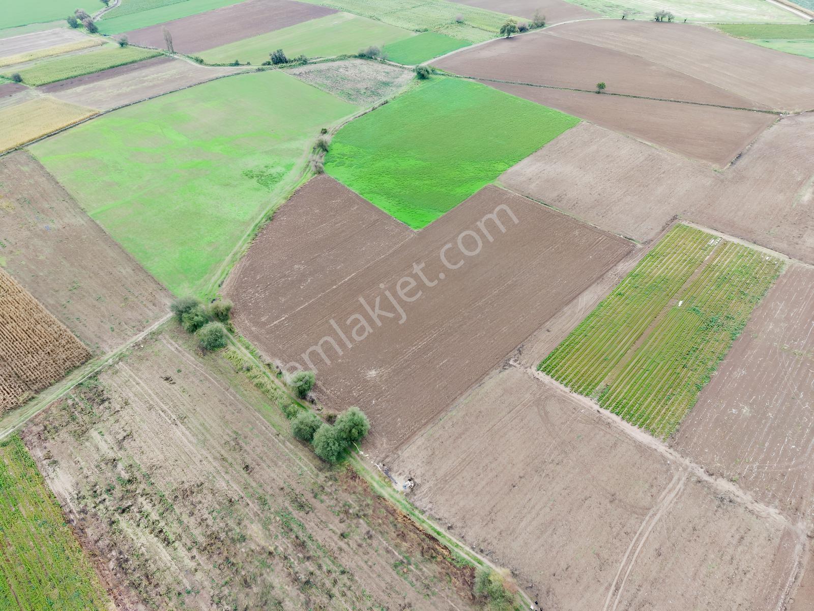 K2 Pera Bursa Mustafakemalpaşa Yeşilova 11.200 M2 Tek Tapu Tarla — fotoğraf 7