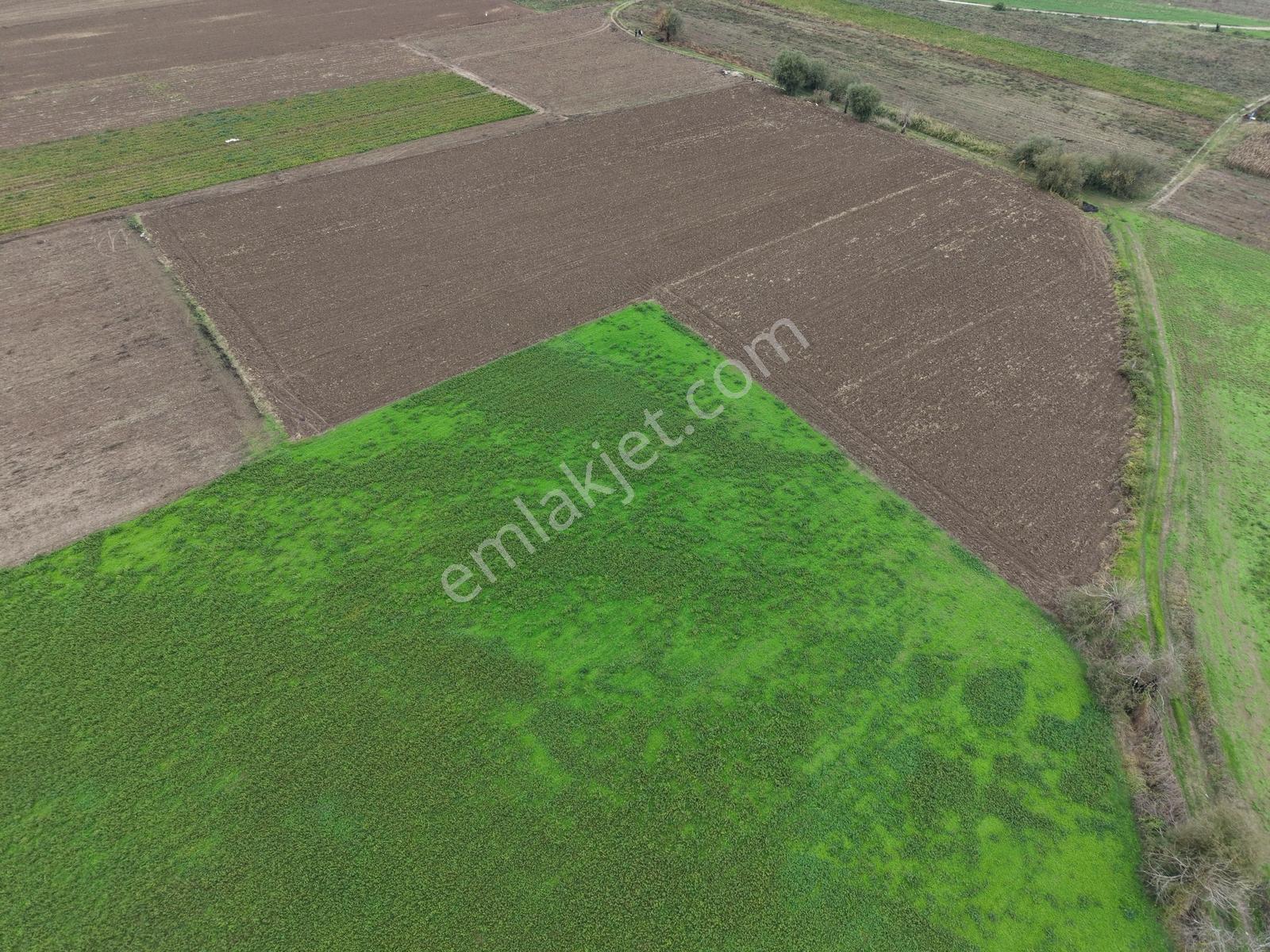 K2 Pera Bursa Mustafakemalpaşa Yeşilova 11.200 M2 Tek Tapu Tarla — fotoğraf 8