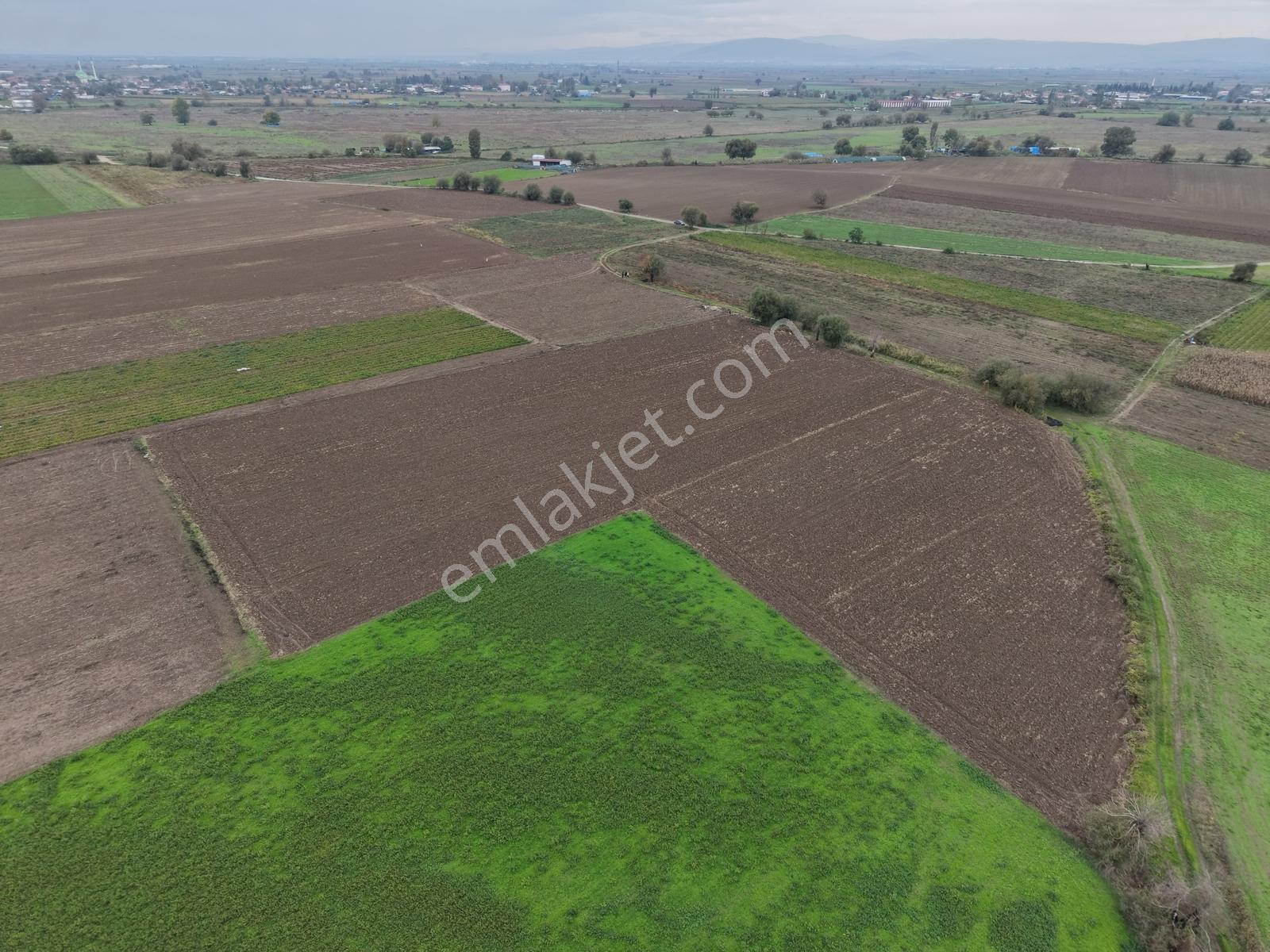 K2 Pera Bursa Mustafakemalpaşa Yeşilova 11.200 M2 Tek Tapu Tarla — fotoğraf 9