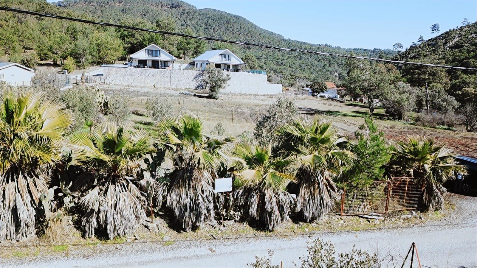 Dalyan Gökbel Satılık Tarla — fotoğraf 6