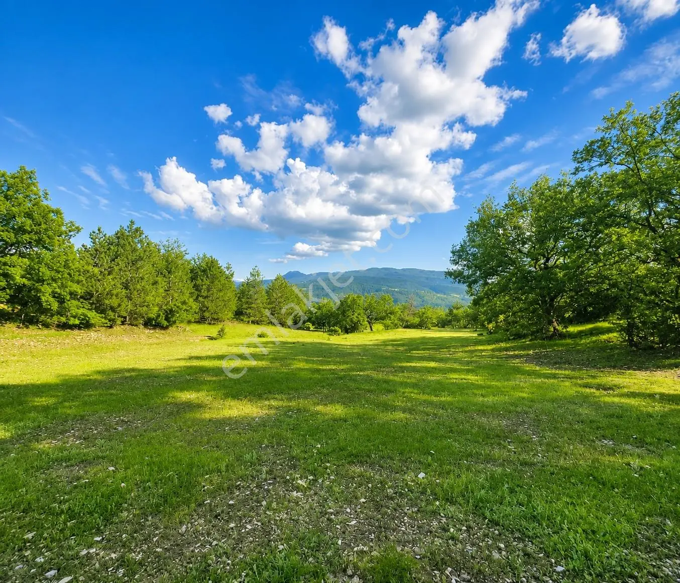 Kastamonu Araç Sofçular'Da Çevresi Orman 11.500 M² Satılık Arazi