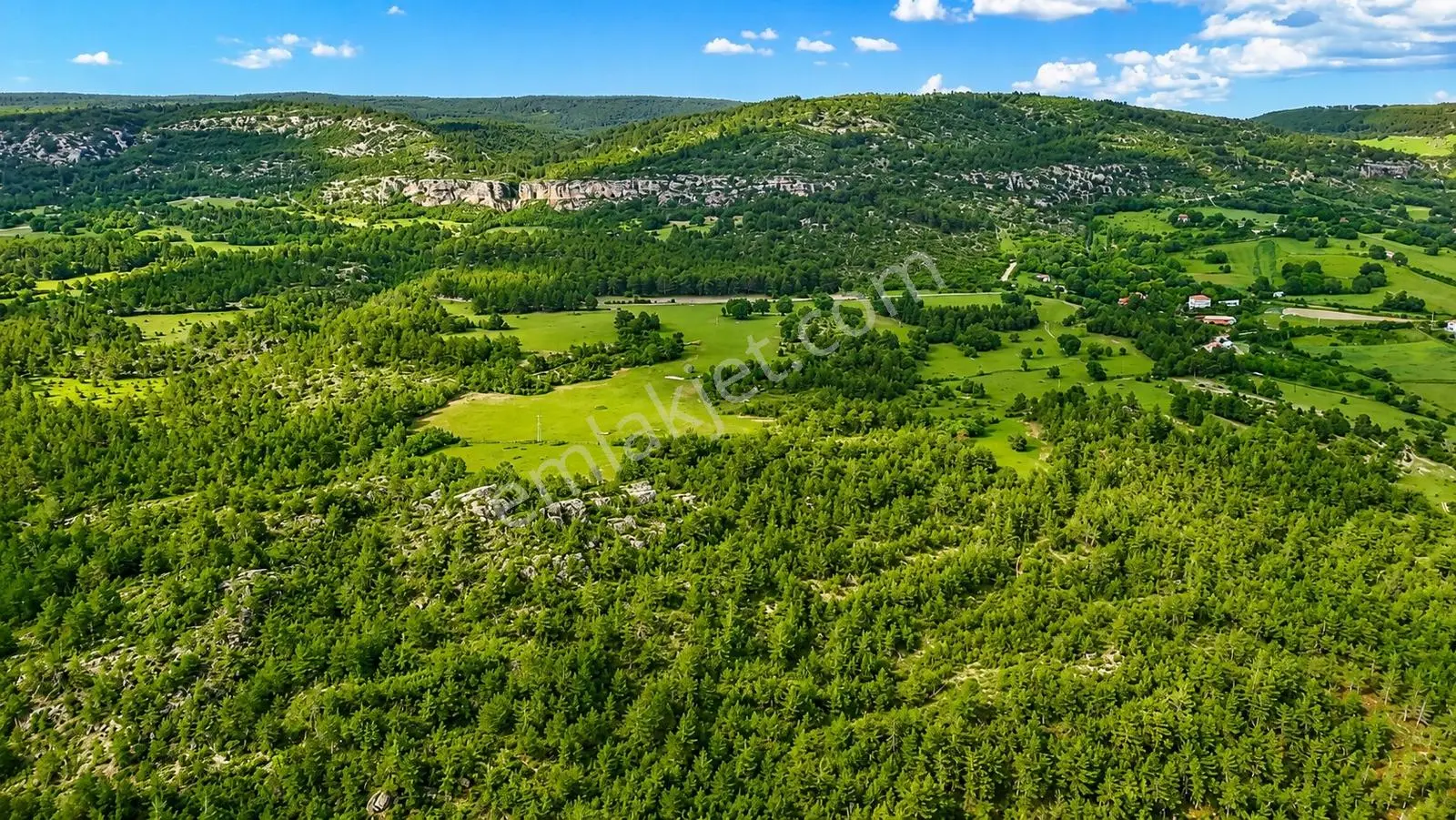 Kastamonu Araç Sofçular'da Çevresi Orman 11.500 M² Satılık Arazi — fotoğraf 2