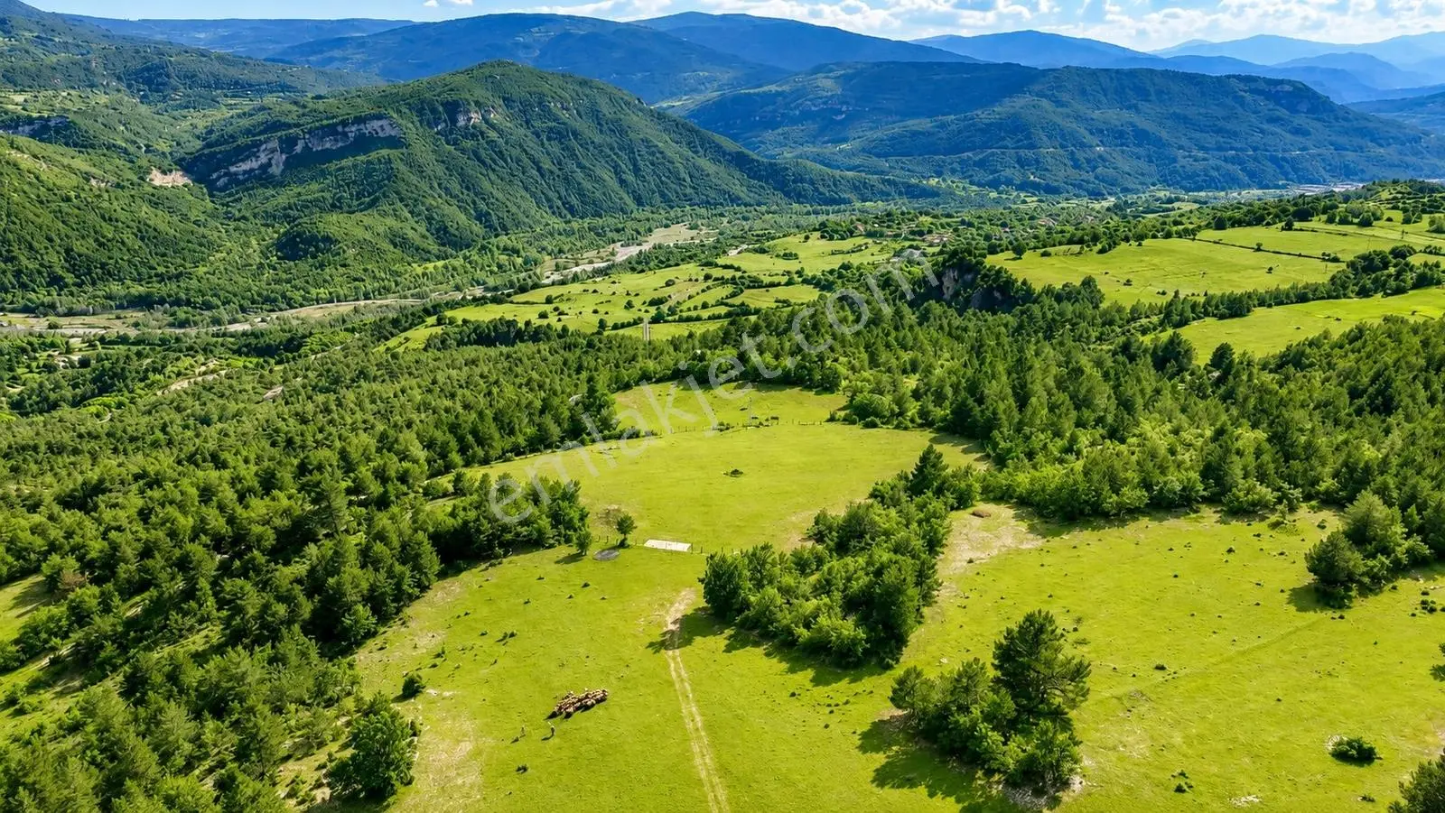 Kastamonu Araç Sofçular'da Çevresi Orman 11.500 M² Satılık Arazi — fotoğraf 3